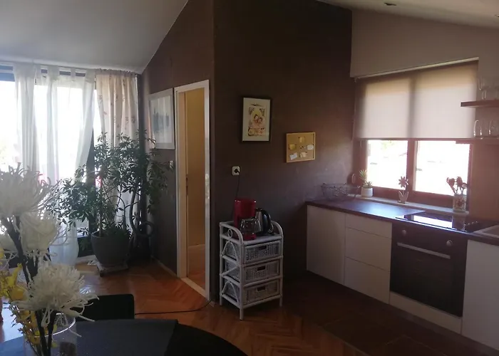 Apartments Sun